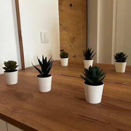 Vanila 379 Appartement *