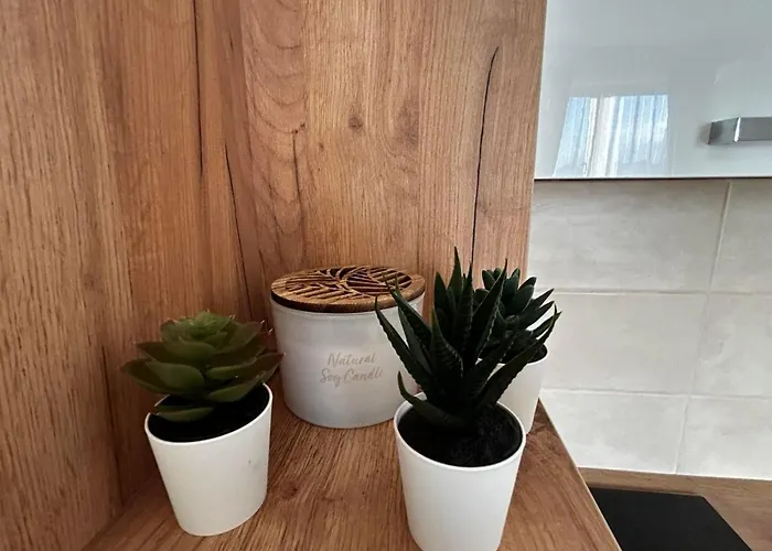 Vanila 379 アパート Divčibare