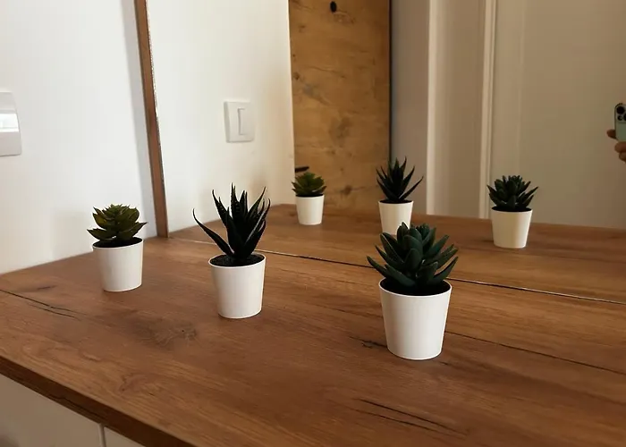 Vanila 379 アパート *